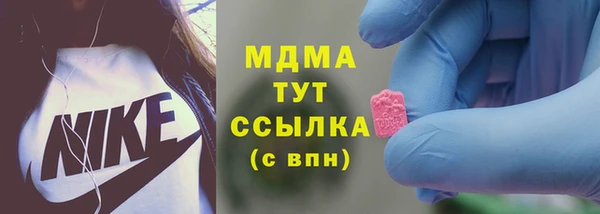 прущие грибы Алексеевка