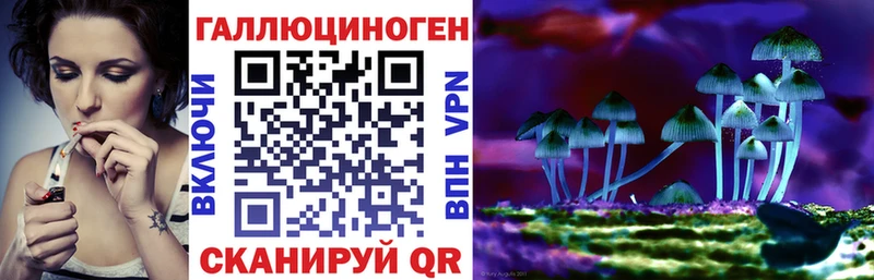 Псилоцибиновые грибы мицелий  сколько стоит  Полысаево 