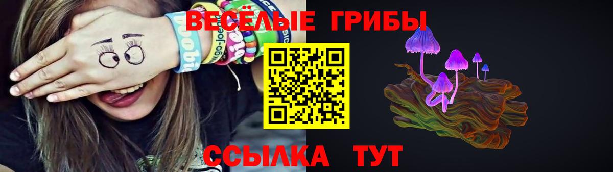 Псилоцибиновые грибы мицелий  Вход с VPN  Полысаево 